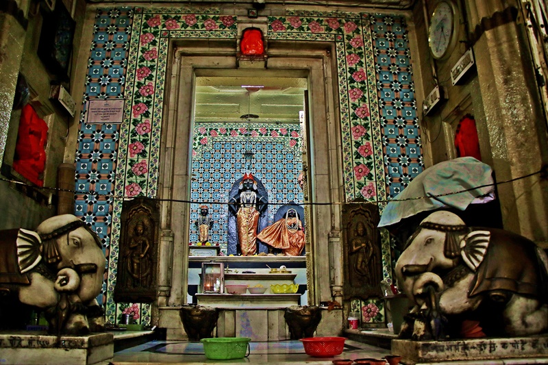 naidunia_image